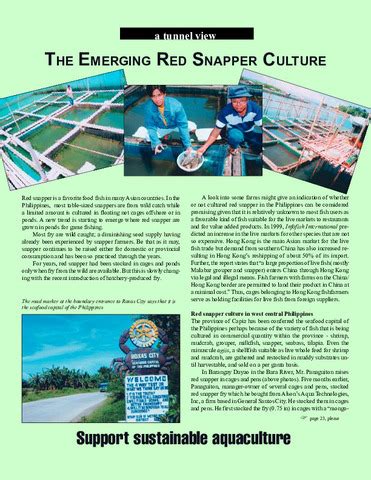 red snapper magsaysay|The emerging red snapper culture .
